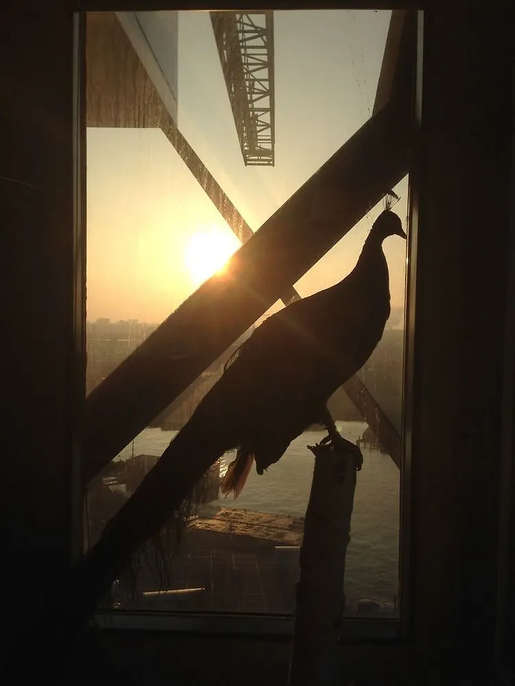 Crane Hotel Faralda Amsterdam